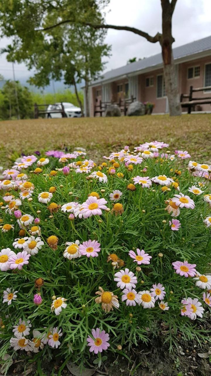 Fenglin 鳳 Kobaya 薔薇 如 画 星空 民宿 المظهر الخارجي الصورة